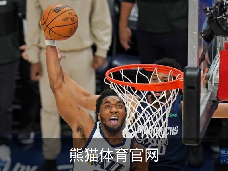 了解熊猫体育官网