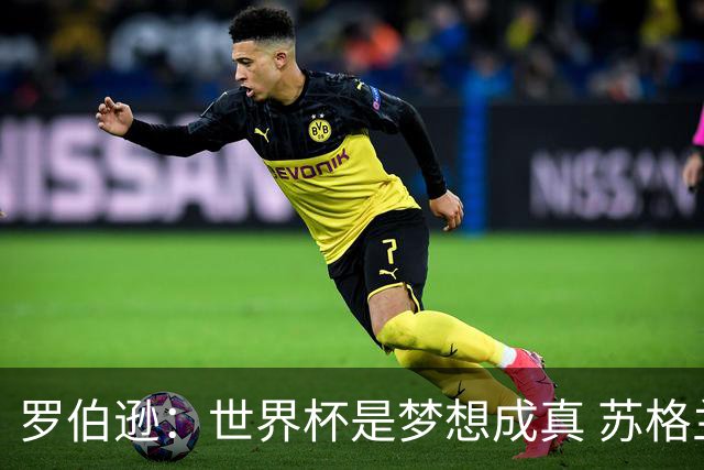 罗伯逊：世界杯是梦想成真 苏格兰已从上届欧洲杯吸取教训